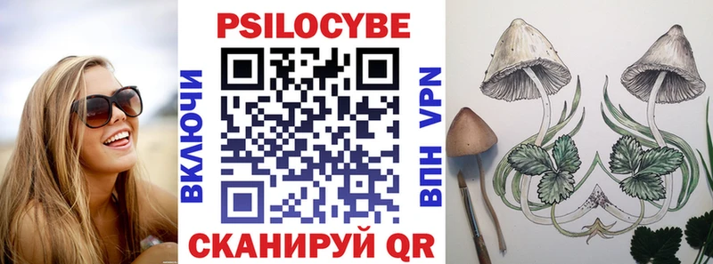 купить наркотик  Ярославль  Галлюциногенные грибы Psilocybe 